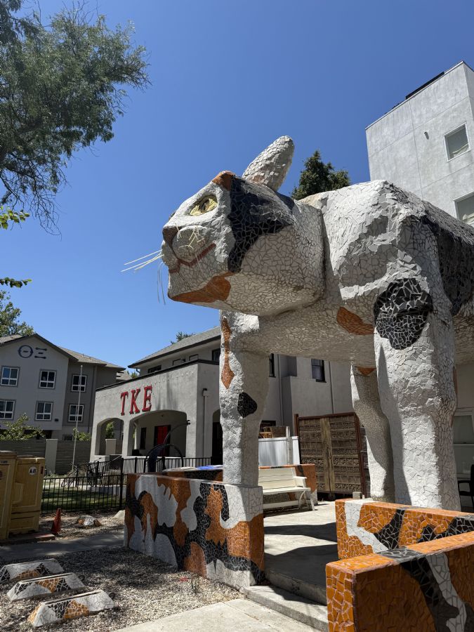 גלריה לאומנות מקומית בדייוויס